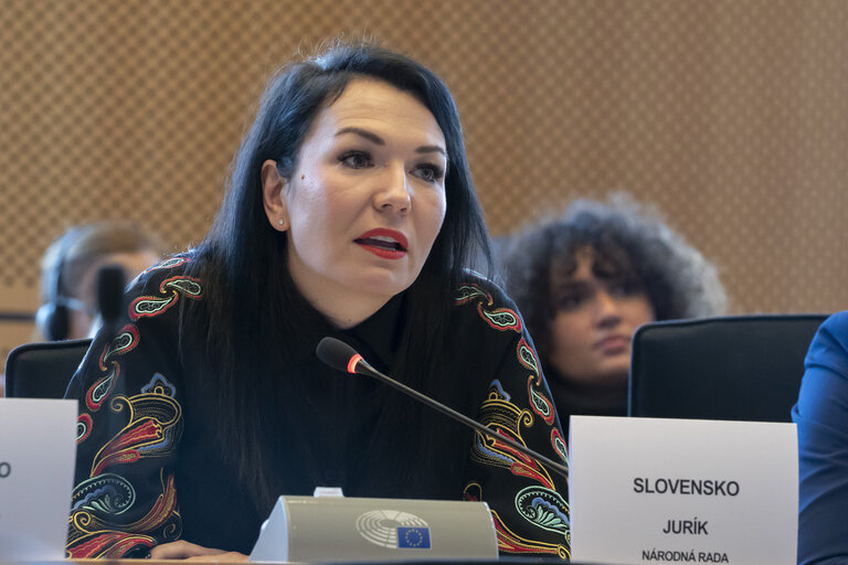 Fotografia 8: International Women’s Day 2025 - FEMM Inter-parliamentary Committee ' Strengthening the Women, Peace and Security Agenda – Upholding Women’s Rights in Defence, Security and Peace Building'