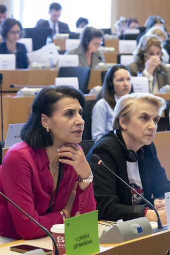 Valokuva 50: International Women’s Day 2025 - FEMM Inter-parliamentary Committee ' Strengthening the Women, Peace and Security Agenda – Upholding Women’s Rights in Defence, Security and Peace Building'