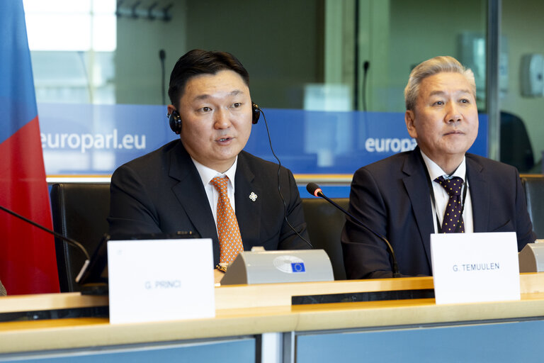 17th EU - Mongolia Inter-Parliamentary Meeting