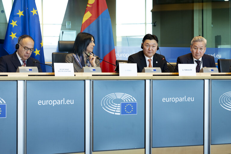 17th EU - Mongolia Inter-Parliamentary Meeting