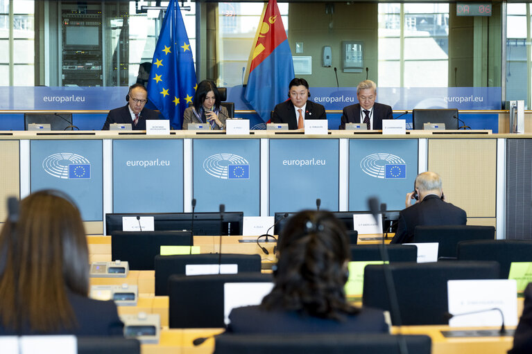 17th EU - Mongolia Inter-Parliamentary Meeting