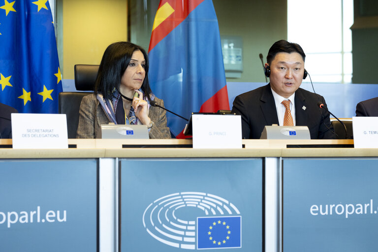 17th EU - Mongolia Inter-Parliamentary Meeting