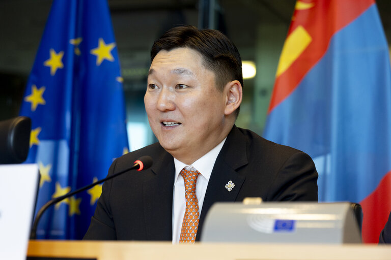 17th EU - Mongolia Inter-Parliamentary Meeting