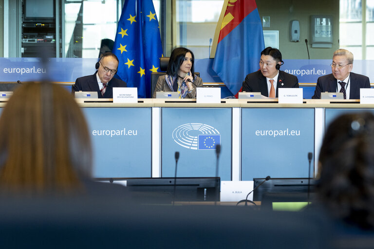 17th EU - Mongolia Inter-Parliamentary Meeting