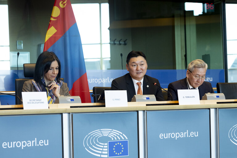 17th EU - Mongolia Inter-Parliamentary Meeting