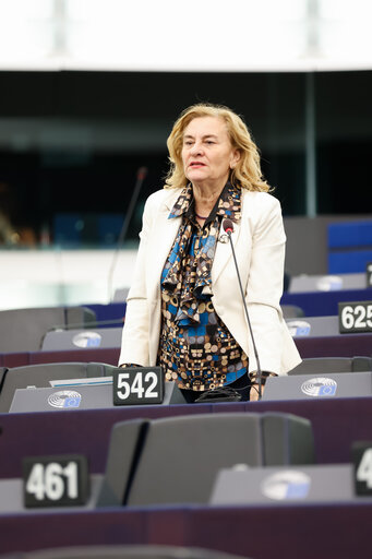 Fotografija 6: EP Plenary session - Cutting red tape and simplifying business in the EU: the first Omnibus proposals