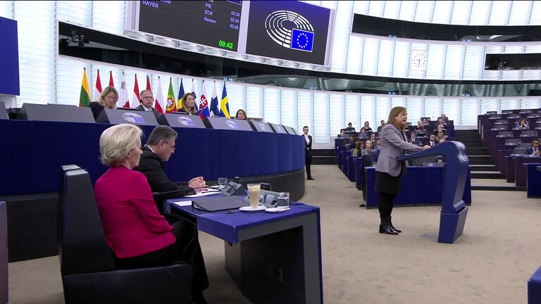 European Council meetings and European Security: extracts from the MEPs debate