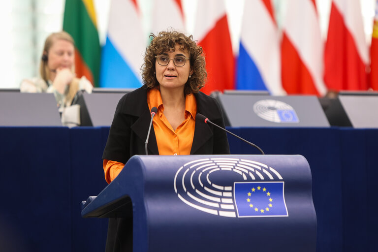 Foto 44: EP Plenary session - defence - European Council meetings and European Security