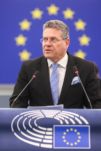 Fotografija 7: EP Plenary session - defence - European Council meetings and European Security