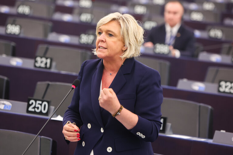 Fotografija 13: EP Plenary session - defence - European Council meetings and European Security