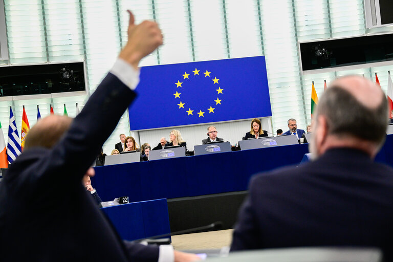 Foto 16: EP Plenary session - defence - Voting session