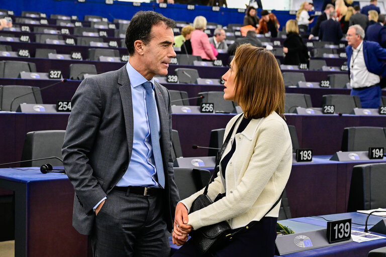 Fotografi 4: EP Plenary session - defence - Voting session