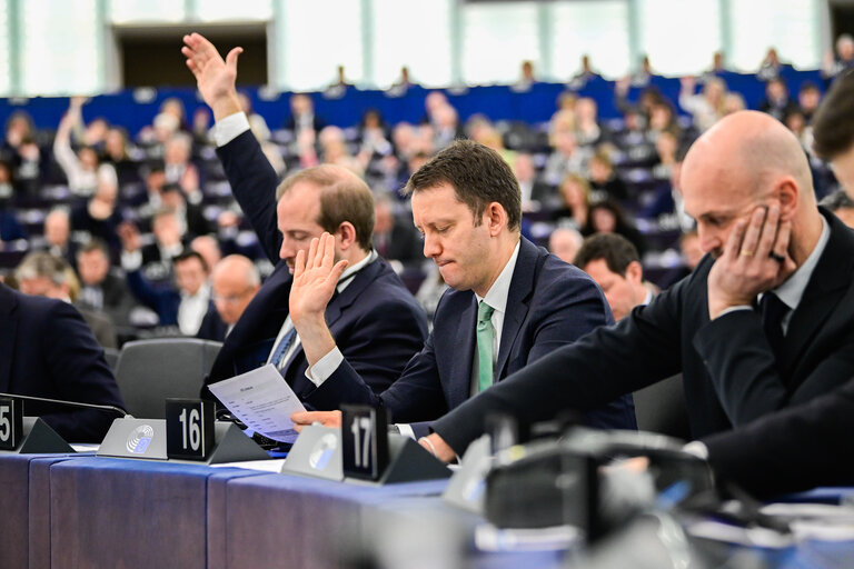 Fotografi 14: EP Plenary session - defence - Voting session