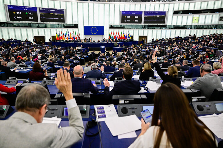 Fotografi 10: EP Plenary session - defence - Voting session