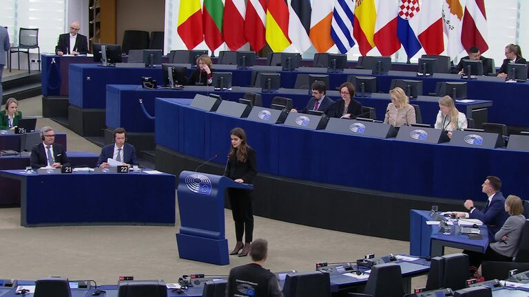 Presentation of the proposal on a new common approach on returns: MEPs debate (part 2)