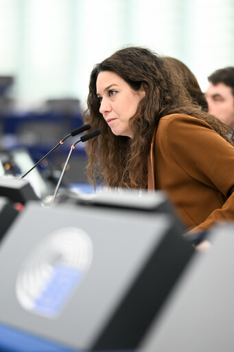 Photo 4 : EP Plenary session - White paper on the future of European defence