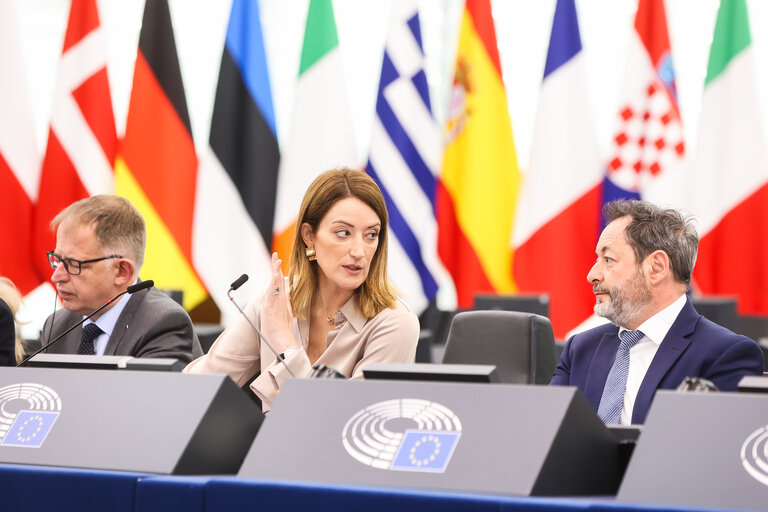 Fotó 19: EP Plenary session - Action Plan for the Automotive Industry