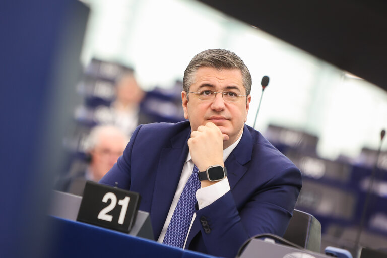 Fotó 2: EP Plenary session - Action Plan for the Automotive Industry