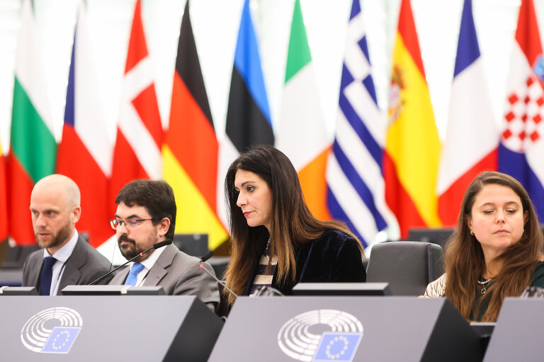 Photo 18: EP Plenary session - Action Plan for the Automotive Industry