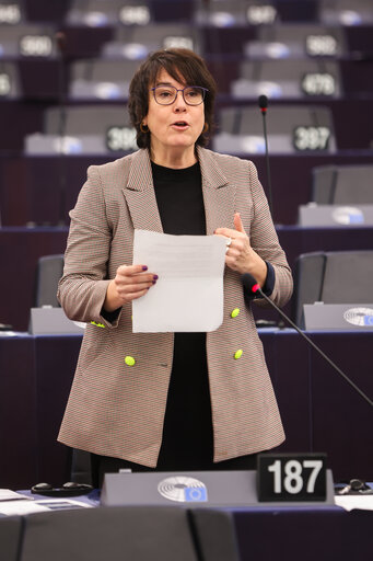 Photo 6: EP Plenary session - Action Plan for the Automotive Industry