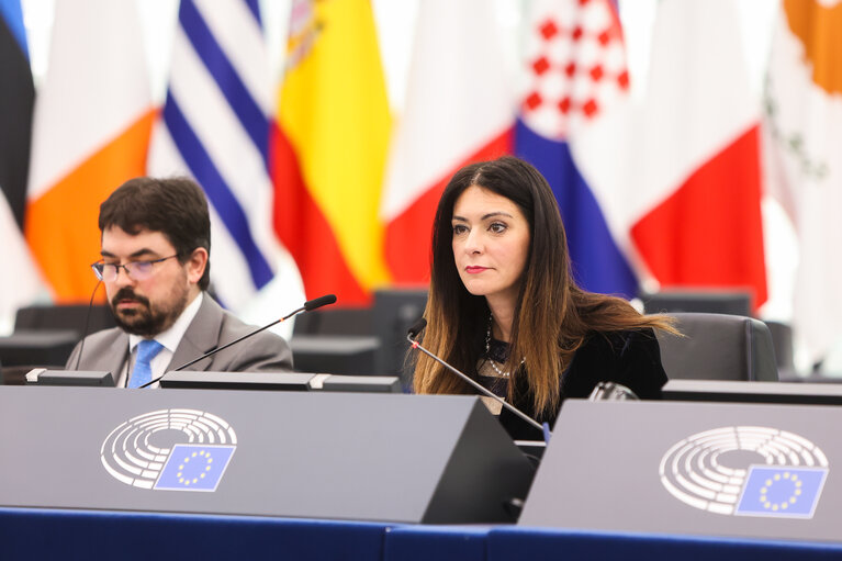 Fotografija 5: EP Plenary session - Action Plan for the Automotive Industry