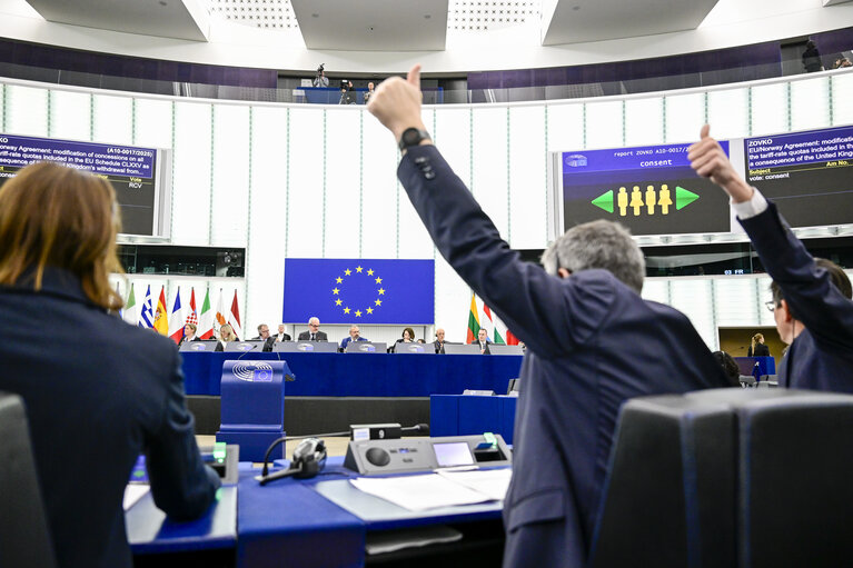 Φωτογραφία 39: EP Plenary session - Voting session