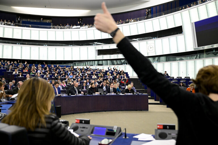 Foto 31: EP Plenary session - Voting session