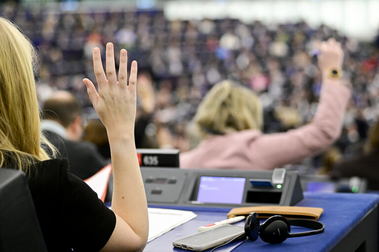 Fotografie 25: EP Plenary session - Voting session