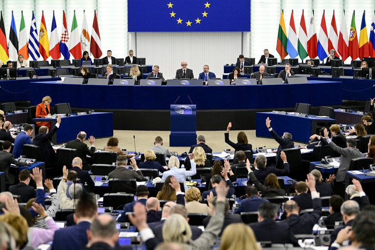 Fotografie 24: EP Plenary session - Voting session