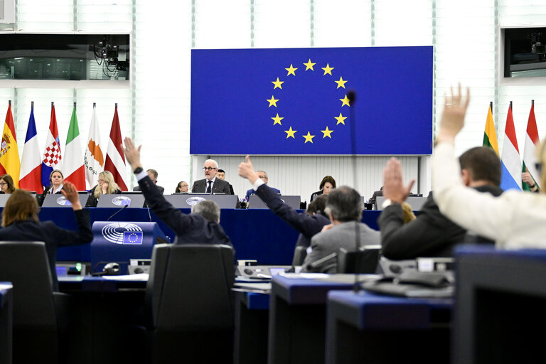 Fotografi 17: EP Plenary session - Voting session