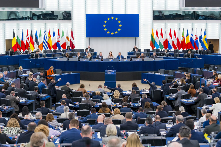 Photo 10: EP Plenary session - Voting session