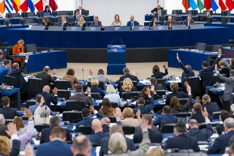 Fotografi 9: EP Plenary session - Voting session