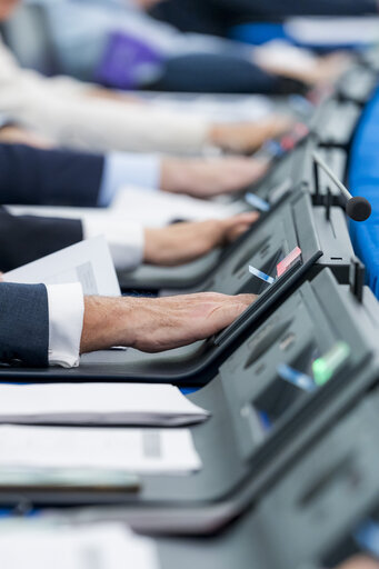 Φωτογραφία 8: EP Plenary session - Voting session