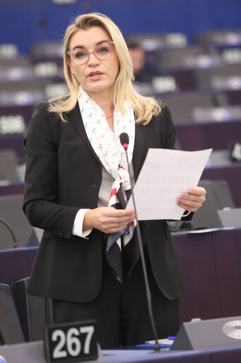 Fotografie 5: EP Plenary session - Union of Skills: striving for more and better opportunities to study, train or work in the EU and to bring our talents back home