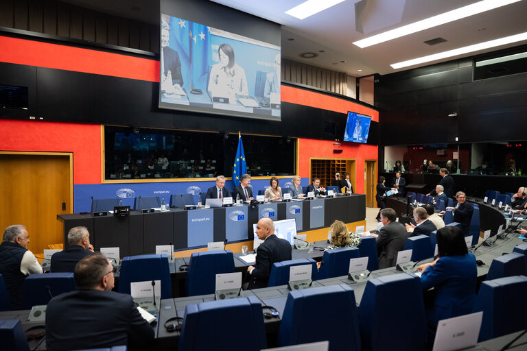 Φωτογραφία 42: Conference of Delegation Chairs meeting