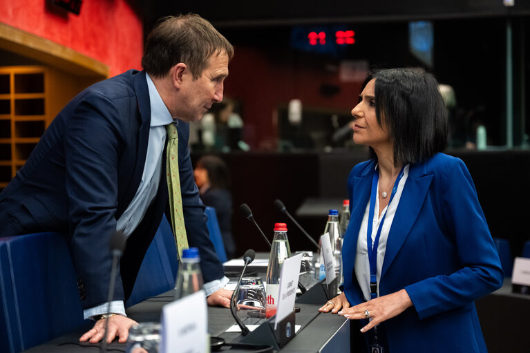 Φωτογραφία 2: Conference of Delegation Chairs meeting