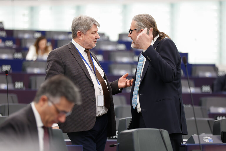 EP Plenary session - Action Plan for Affordable Energy