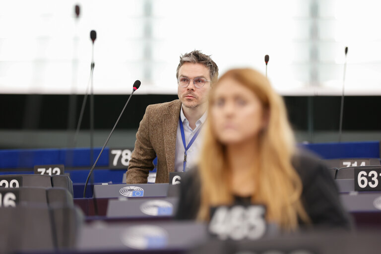 EP Plenary session - Action Plan for Affordable Energy