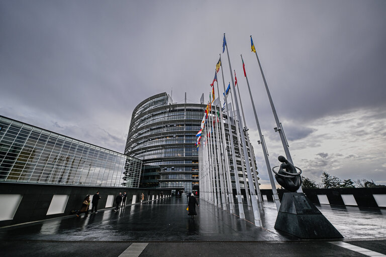 Photo 15 : Strasbourg's Plenary session through the lens . Week 11