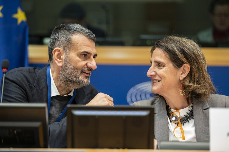 Fotografie 36: ENVI - Exchange of views with Teresa Ribera, Executive Vice-President for a clean, just and competitive transition, in particular in view of the publication of the Clean Industrial Deal communication