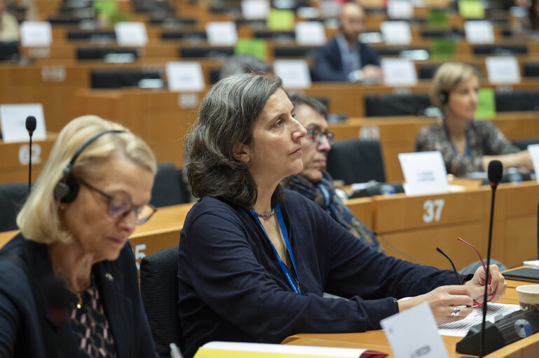 Fotografie 24: ENVI - Exchange of views with Teresa Ribera, Executive Vice-President for a clean, just and competitive transition, in particular in view of the publication of the Clean Industrial Deal communication
