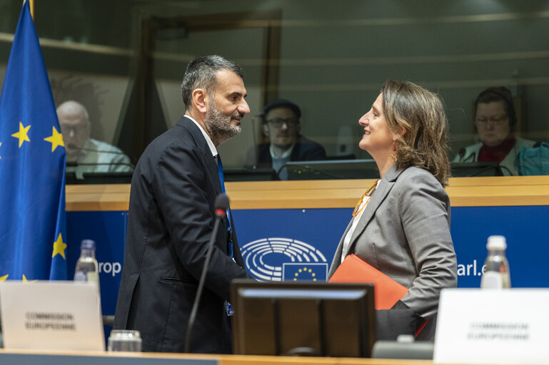 Fotografie 37: ENVI - Exchange of views with Teresa Ribera, Executive Vice-President for a clean, just and competitive transition, in particular in view of the publication of the Clean Industrial Deal communication