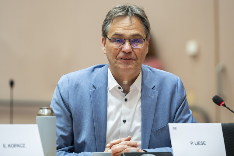 Fotografie 19: ENVI - Exchange of views with Teresa Ribera, Executive Vice-President for a clean, just and competitive transition, in particular in view of the publication of the Clean Industrial Deal communication