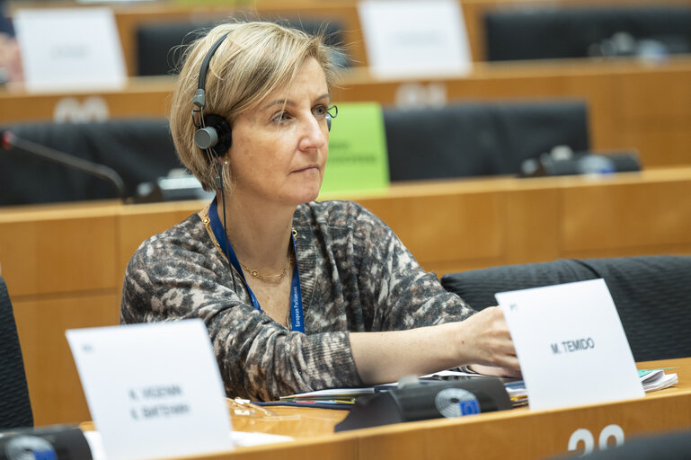 Fotografie 23: ENVI - Exchange of views with Teresa Ribera, Executive Vice-President for a clean, just and competitive transition, in particular in view of the publication of the Clean Industrial Deal communication