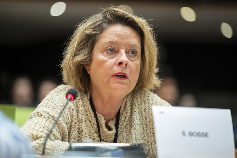 Fotografie 9: ENVI - Exchange of views with Teresa Ribera, Executive Vice-President for a clean, just and competitive transition, in particular in view of the publication of the Clean Industrial Deal communication