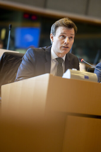 Foto 6: IMCO - Digital Services Act Enforcement and Implementation