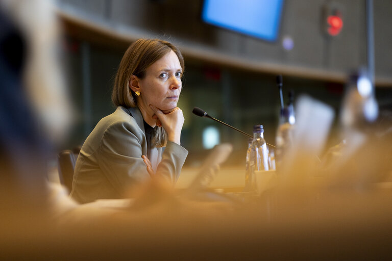 Foto 9: IMCO - Digital Services Act Enforcement and Implementation