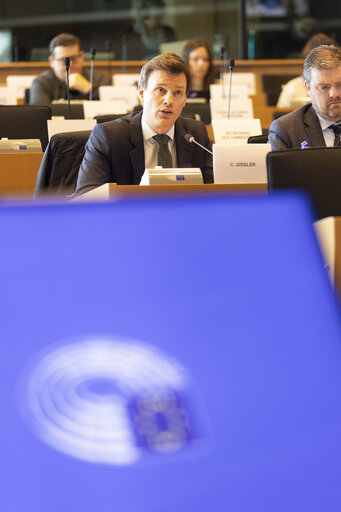 Foto 12: IMCO - Digital Services Act Enforcement and Implementation