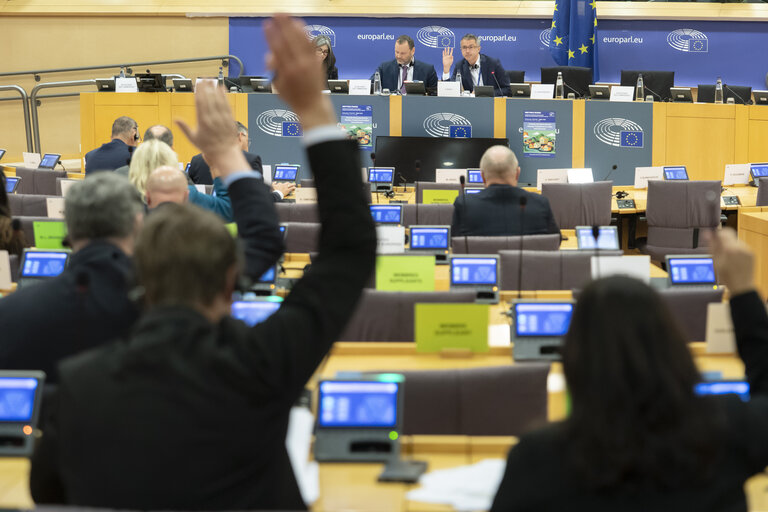 Fotagrafa 4: REGI - Voting session : A revamped long-term budget for the Union in a changing world