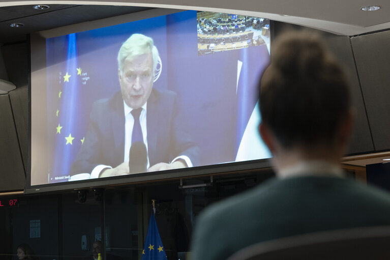 SEDE - Sauli Niinistö, Former President of Finland and Special Adviser to the President of the European Commission: presentation of the Report on Strengthening Europe’s civil and military preparedness and readiness